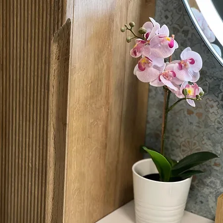 Apartman Plumbird Boutique & *